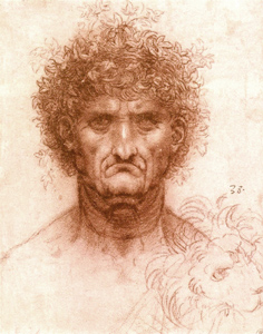 Un dibujo de Leonardo da Vinci.