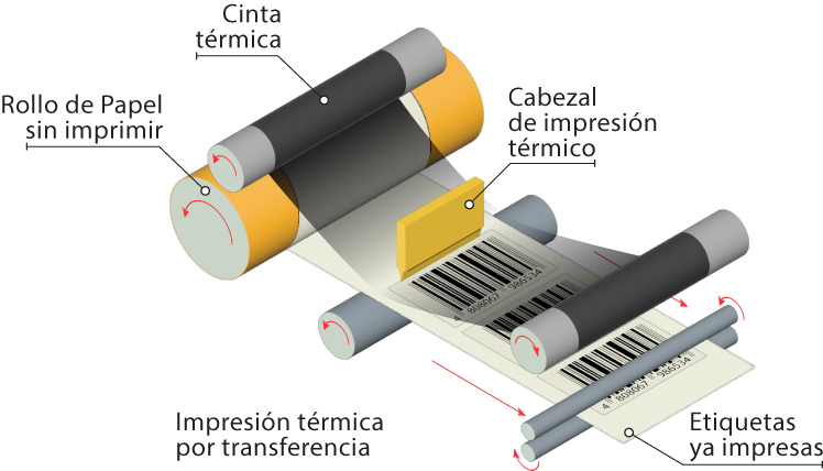 Diagrama de impresión térmica por transferencia.