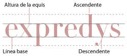 Diagrama representando la línea base en tipografía.
