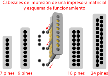 Cabezal de impresión de una impresora matricial.