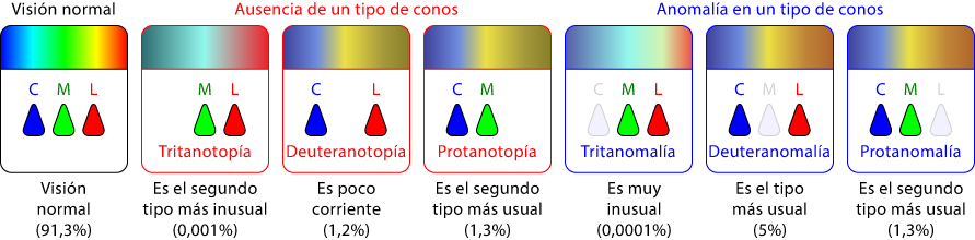 Los diferentes tipos de ceguera al color (los porcentajes se refieren a hombres que la padecen).