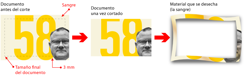 La sangre es la parte que se imprime y luego se desecha.