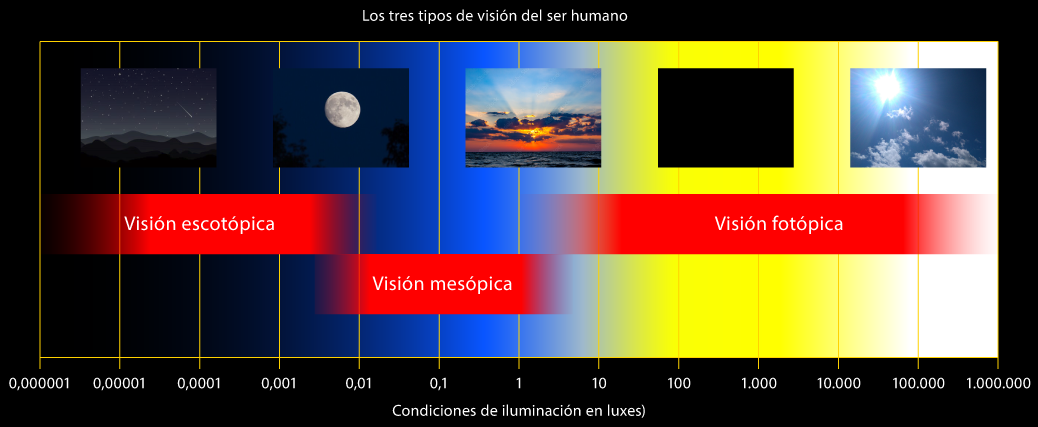 Los tres tipos de visión humana.